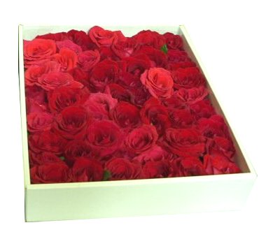 赤バラのみ オシャレなバラ風呂 バラの花束をバラ園より産地直送でプレゼント バラの花束専門店イーハトーブ