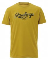 <img class='new_mark_img1' src='https://img.shop-pro.jp/img/new/icons20.gif' style='border:none;display:inline;margin:0px;padding:0px;width:auto;' />Rawlings ローリングス　スクリプトロゴＴシャツ （カラー【RGO】リッチゴールド）
