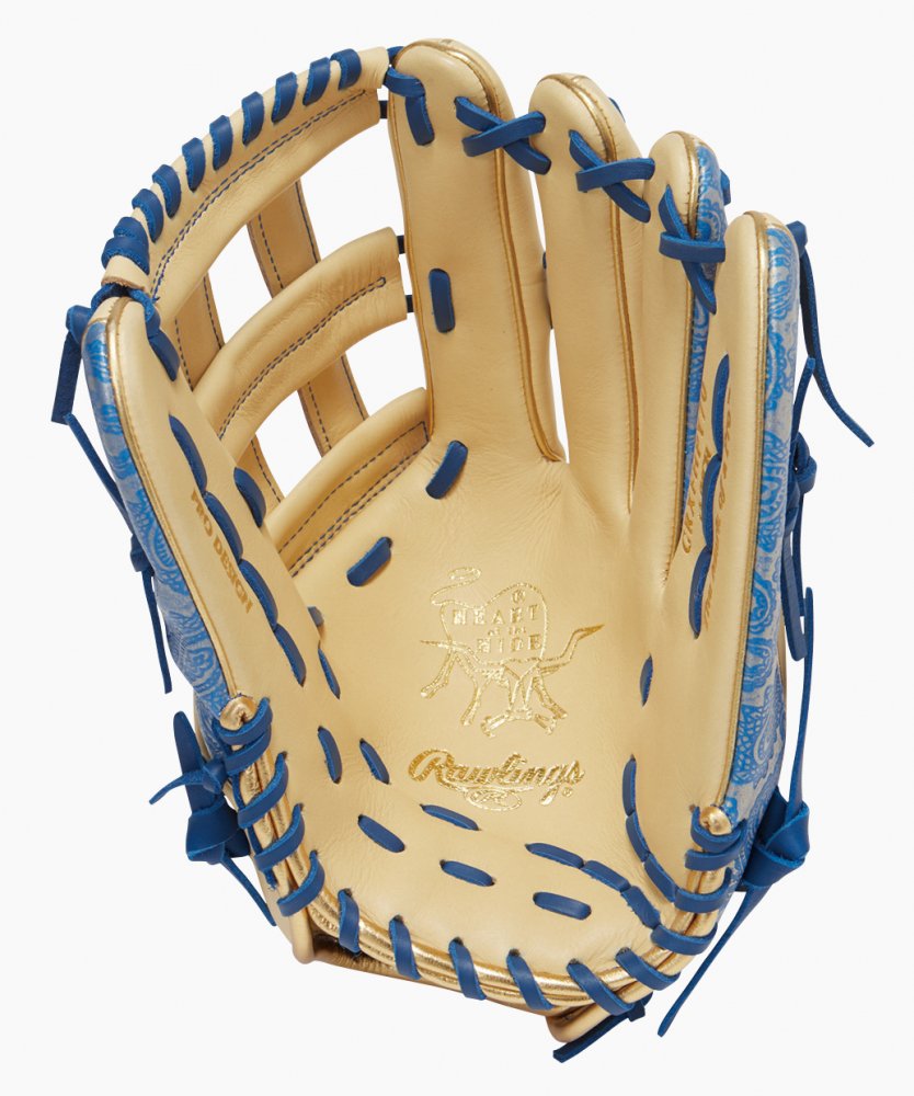 Rawlings ローリングス Hoh ペイズリー 軟式グラブ 外野手用 カラー Cam Ry キャメル ロイヤル スポーツ用品の総合通販 オーゾネ