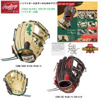 <img class='new_mark_img1' src='https://img.shop-pro.jp/img/new/icons15.gif' style='border:none;display:inline;margin:0px;padding:0px;width:auto;' />Rawlings ローリングス　[2023年秋冬限定品] [女子ソフト] 【GOLD GLOVE】 HOH DP COLORS [内野手用] サイズ11.5