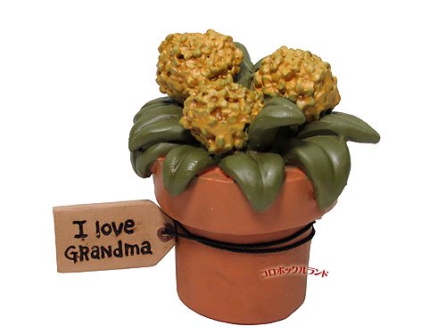 եݥå7(I Love Grandma) β