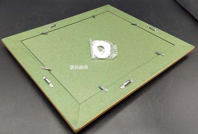 フローラ MO全紙 デッサン額 アクリル板仕様 【大型商品※送料別途お 