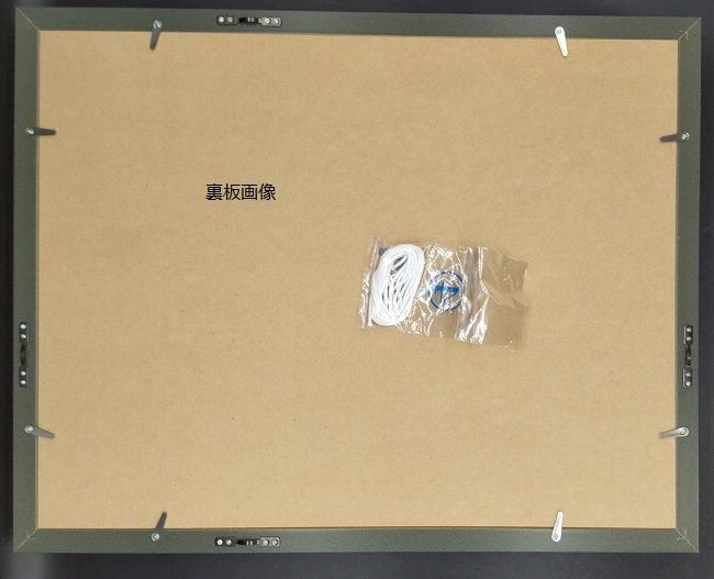 デッサン額縁 DS6769 A4（297×210mm） ゴールド/シルバー 前面UV