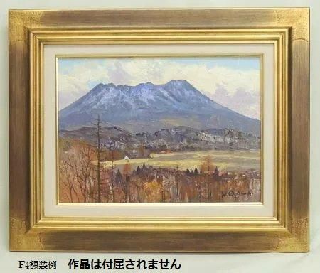 A F6号 内側青銅色混じりの銀色 油彩額縁 同種デザイン 3点まとめ売り 楽天市場】油彩額縁 3474 F6 号(410×318) （アクリル仕様・木製