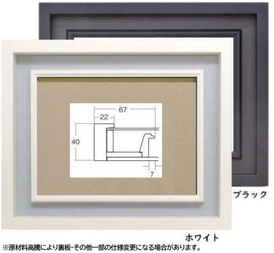 3441N ホワイト/ブラック WSM 454×158mm モダンな油彩額縁 表面保護