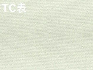 TC張キャンバス F0号 90枚セット 180×140mm 桐木枠 綿化繊 綿化繊混 習