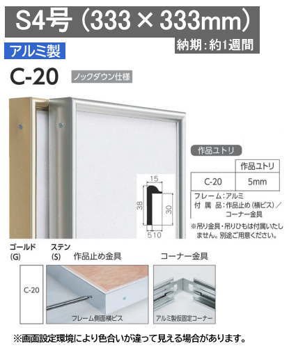 C-20 S4号 333×333mm アルフレーム仮額・出展用額縁 正方形 - 額縁