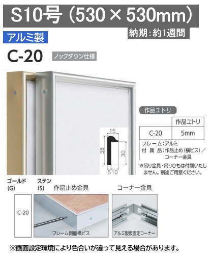 C 20 S10号アルフレーム仮額 出展用額縁 正方形 額縁 激安通販 額のまつえだ 油彩 水彩 デッサン額専門店