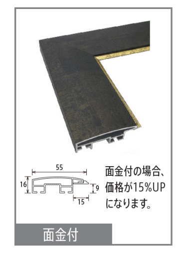 正方形の額縁 アルミフレーム DL面金付 サイズ250画 宗達(そうたつ)-