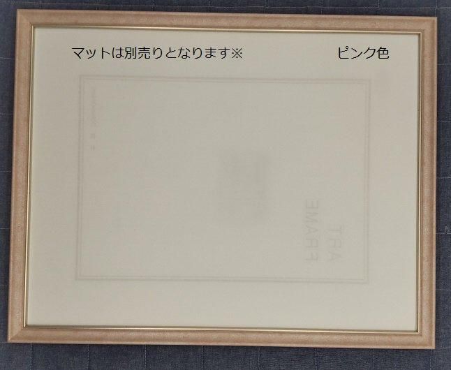 8229 軽量額縁 大衣サイズ 509×394mm 水彩・デッサン額縁 樹脂製 