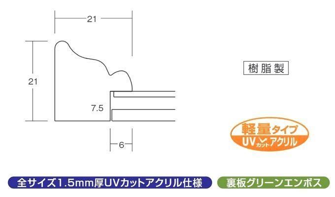 8229 軽量額縁 三三サイズ 606×455mm 水彩・デッサン額縁 樹脂製 