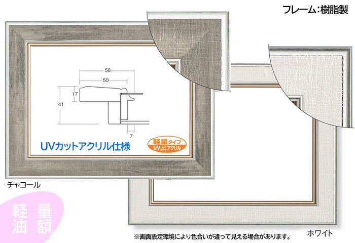 8163 F20号(727×606mm) 油彩額縁 軽量フレーム 樹脂製 【大型商品※送料