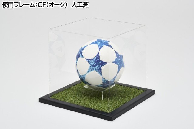 コレクションケース Mサイズ(サッカーボール) ケース CF：人工芝