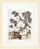 KANNAֽդȶˡ׻ͥڥե졼դڿ̸C5135<img class='new_mark_img2' src='https://img.shop-pro.jp/img/new/icons15.gif' style='border:none;display:inline;margin:0px;padding:0px;width:auto;' />
