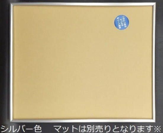 BH-215J 八〇 (太子判) 287×378mm アクリル板付 デッサン額縁