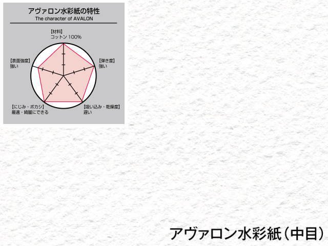 アヴァロン スケッチブック F10 ブロック 中目 中厚口 300g AVB-F10