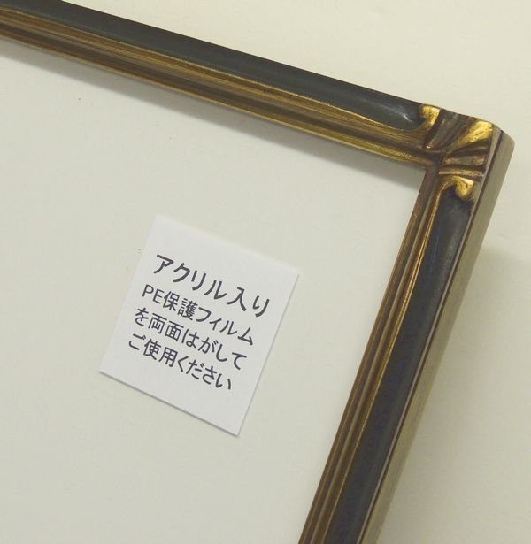 珠かんざし 金+黒 大衣(たいころ) 509×394mm デッサン額縁 木製