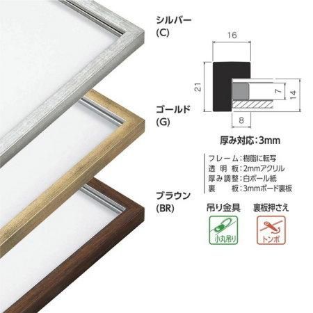 BH-E25J 三三 立体デッサン額 454×605mm 樹脂製 額縁 フレーム【廃番