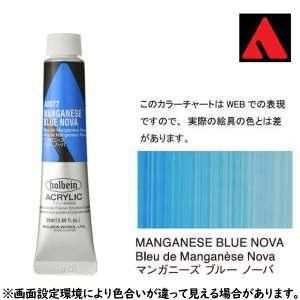 マンガニーズブルーノーバ 【ヘビーボディ】6号or9号