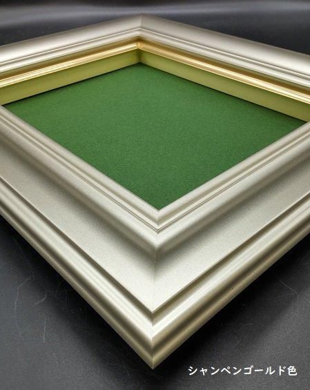 3476 F20号 アクリル板付き油彩額縁【大型商品※送料別途お見積り