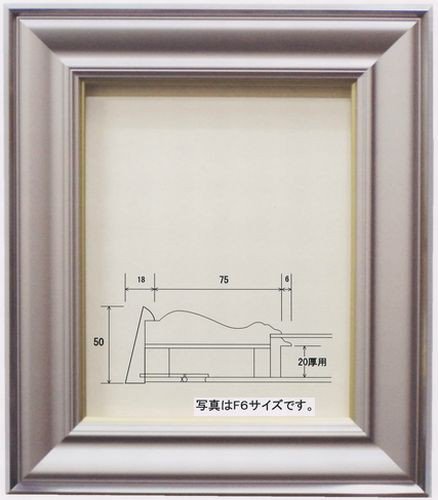 OS型 ステンレス額 F0号 日本画用額縁 代引不可・同梱不可 メーカー