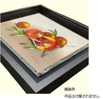 角箱 黒 F15号 | 油彩額縁 - 額縁 - 激安通販 | 額のまつえだ
