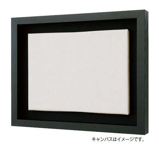 角箱 黒 F20号 (f20号 727×606mm) 油彩額縁 アクリル板仕様 【大型商品 