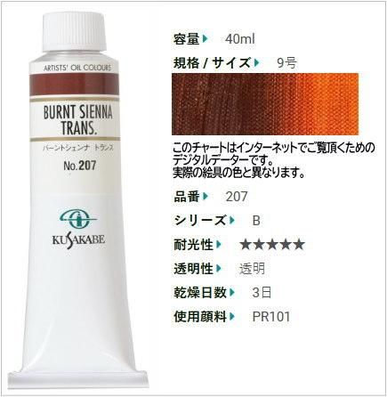 バーントシェンナ トランス | クサカベ油絵具 9号 - 額縁 - 激安