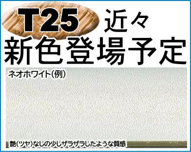 T25 MO判 (900×700mm) アルミ デッサン額縁 フレーム 代引不可・同梱不可 メーカー直送品 - 額縁 - 激安通販 | 額のまつえだ  / 油彩・水彩・デッサン額縁専門店