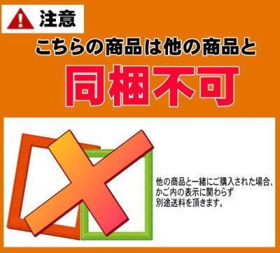 C-40 【100号】 アルフレーム 仮額 仮縁 出展用額縁【大型商品