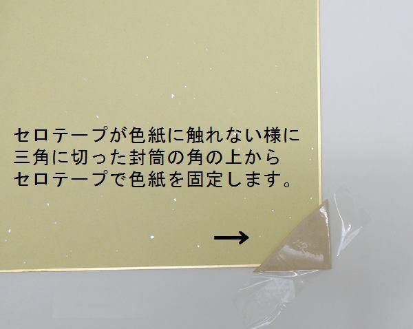 9755 セピア 70×35 ヨコ色紙2枚窓抜額縁 【横向き色紙※専用となります 