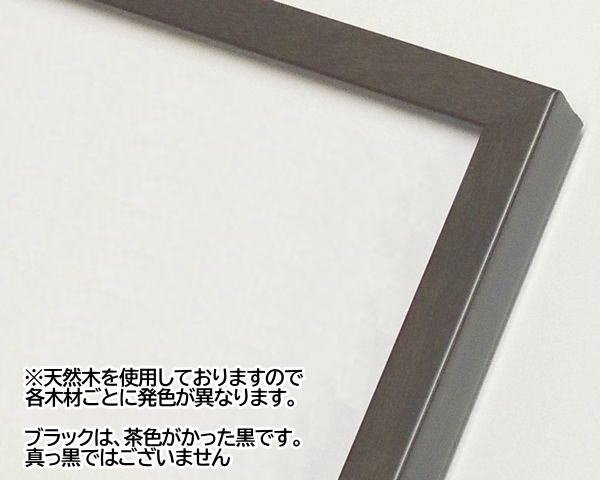 5767 B5 (257×182mm) OA額縁 木製 フレーム【マット無】 - 額縁 - 激安 