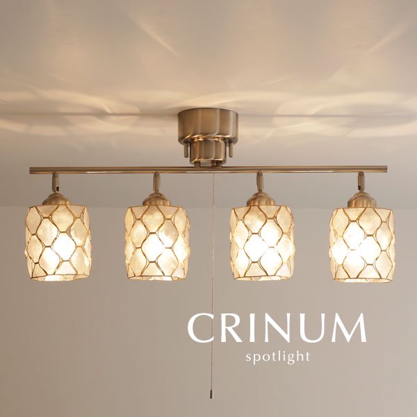 4灯スポットライト カピス貝 LED CRINUM ナチュラル｜デザイン照明のCROIX