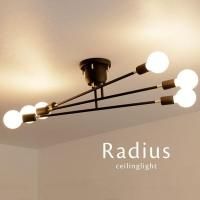 6󥰥饤  LED [Radius/֥å]