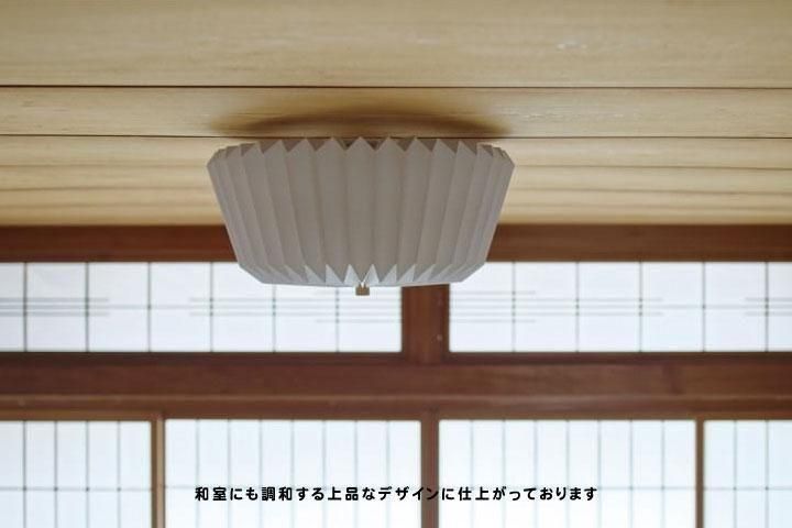 3󥰥饤 ŷ ̲ [Ordinaire]ʥͥ6