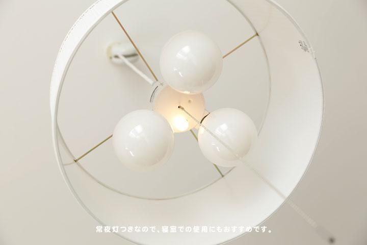 3ڥȥ饤 ե֥å  [Plume]ʥͥ5