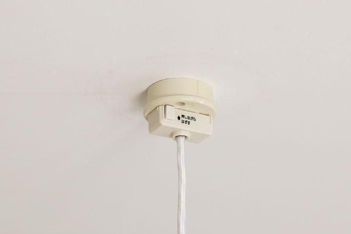 3ڥȥ饤 ե֥å  [Plume]ʥͥ6