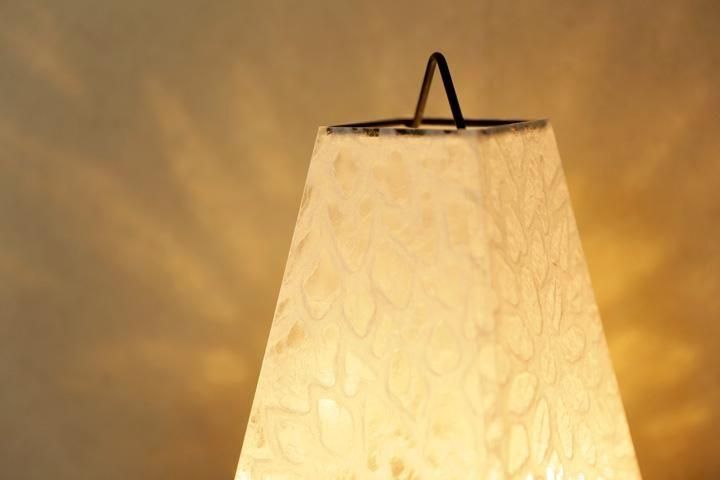 ɥ饤   ơ֥饤 []ʥͥ2