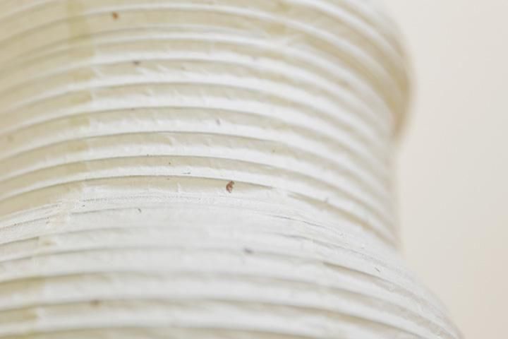 ɥ饤 ߥ   ӹ » []ʥͥ5