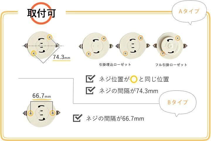 4󥰥ե饤 Բ [Farnell/ۥ磻]