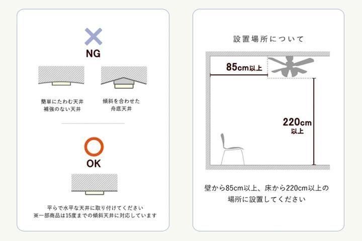 4󥰥ե饤 Բ [Farnell/ۥ磻]