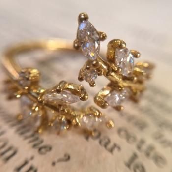 ꡼եꥹ륫֥RING