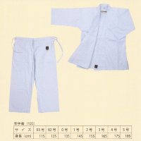 11号帆布空手衣(110伝統派)