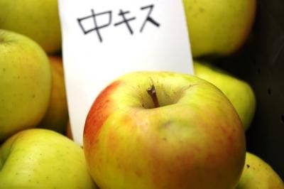ぐんま名月 家庭用大傷5kg おいしいリンゴです 収穫は10月末周辺からとなります N S Nature 天然物 体に優しいもの中心の食品販売 ぐんま名月 家庭用大傷5kg おいしいリンゴです 収穫は10月末周辺からとなります N S Nature 天然物 体に優しいもの中心の食品販売