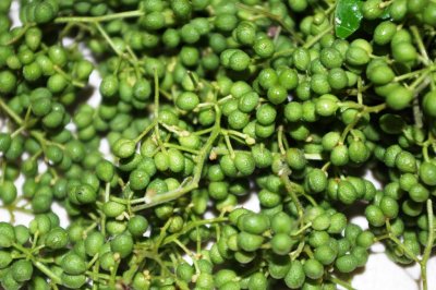 山椒の実 山椒 種子が大きくなりましたら採取 100ｇ 350円 N S Nature 天然物 体に優しいもの中心の食品販売