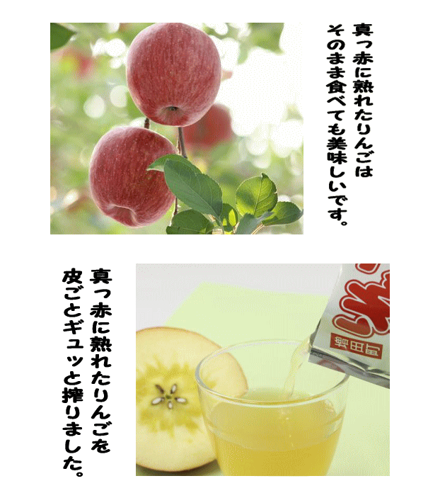 JA秋田ふるさと　果汁100％　りんごジュース　ふじ