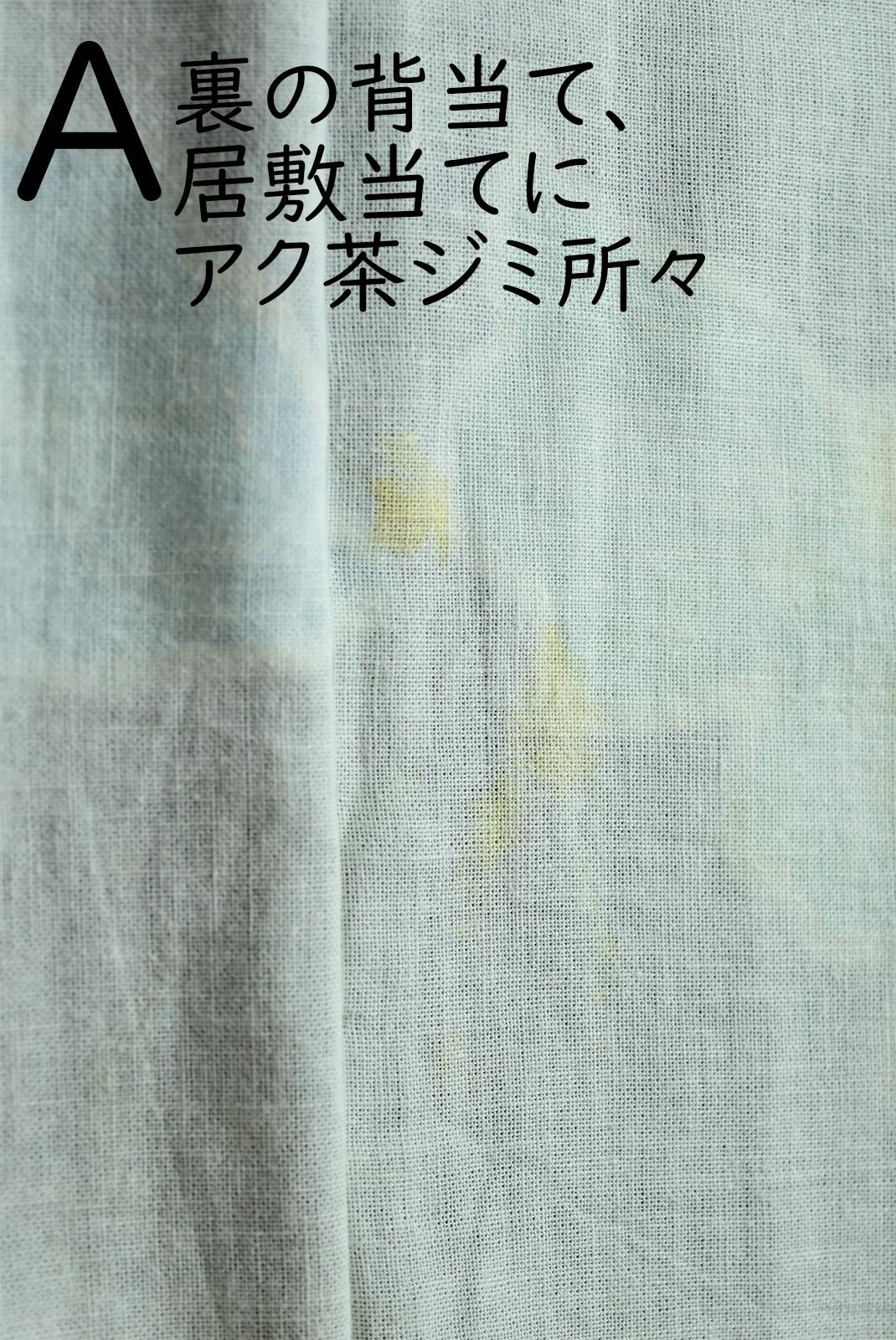 m-13＊アンティーク絽“楽しい夏の思い出をつくるミントグリーン