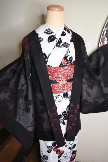 <img class='new_mark_img1' src='https://img.shop-pro.jp/img/new/icons6.gif' style='border:none;display:inline;margin:0px;padding:0px;width:auto;' />ӡ֥å˥꡼եդγͤ᤯̼Ӥ