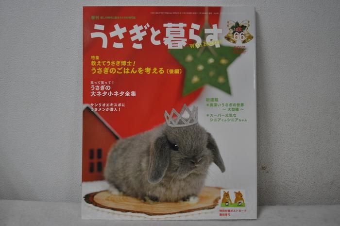 うさぎと暮らすno66 うさぎ専門店 Rabbit Wish うさぎと暮らすno66 うさぎ専門店 Rabbit Wish
