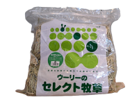ウーリー - うさぎ専門店 Rabbit Wish ウーリー - うさぎ専門店 Rabbit Wish